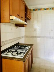 Seasons Park (D26), Condominium #154475742